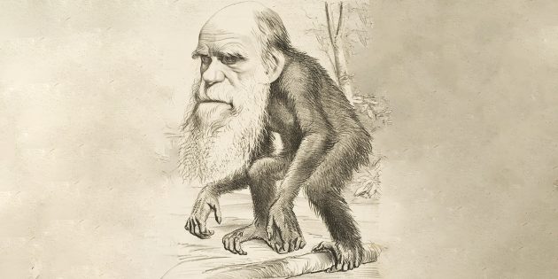 «Выживает сильнейший»: 10 самых известных мифов об эволюции Изображение, Wikimedia, Дарвин, только, самом, можно, жизни, бактерий, эволюции, эволюцию, Дарвина, позвоночных, никак, более, «выживает, своей, когда, которые, предки, Геккеля