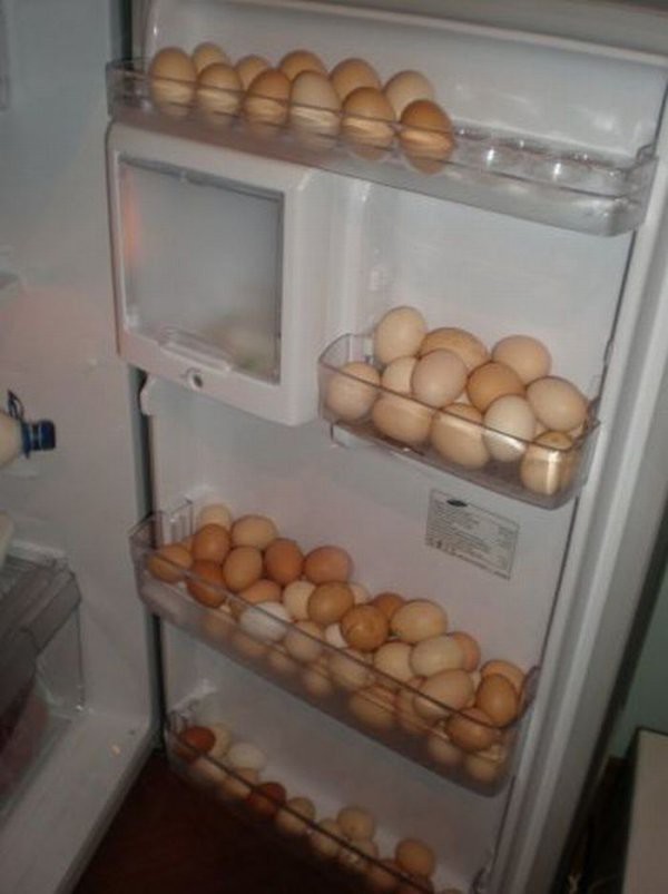 15. Когда приехал от родственников из деревни смешно, фото, холодильник