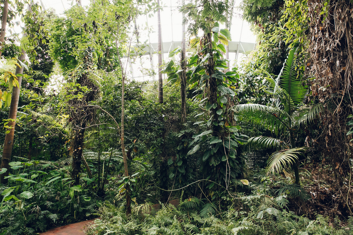 «Дуэт фотографов путешествует по миру, снимая ботанические сады, оранжереи и теплицы 14