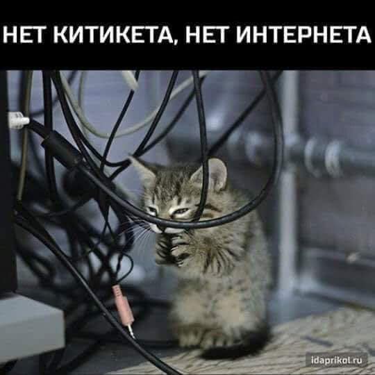 Юмор для всех: классные анекдоты и шуточки 