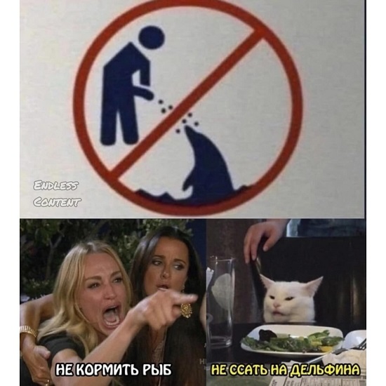 Ну и хорошо, что нервные клетки не восстанавливаются... Нету клеток - нечем нервничать..... город-курорт Сочи г,о,[95237466],г,Сочи [294728],Краснодарский край [294673]