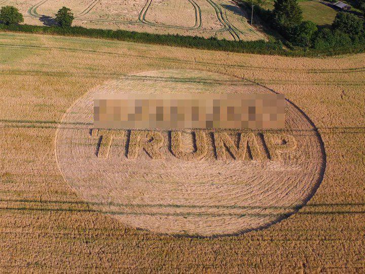 В Великобритании появилось нецензурное, выкошенное послание для Трампа на русском языке В Великобритании появилось нецензурное, выкошенное послание для Трампа на русском языке