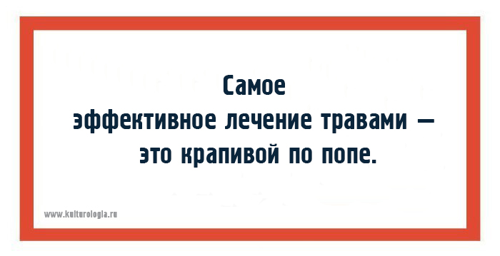 10 коротких анекдотов-наблюдений из реальной жизни