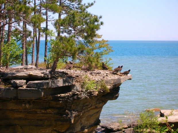 Скала Репа — природная достопримечательность Мичигана достопримечательности,Мичиган,США