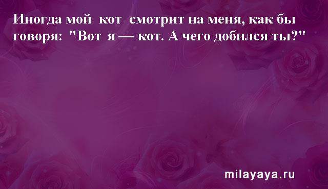 Картинки со статусами. Подборка milayaya-status-milayaya-status-03310529062020-10 картинка milayaya-status-03310529062020-10