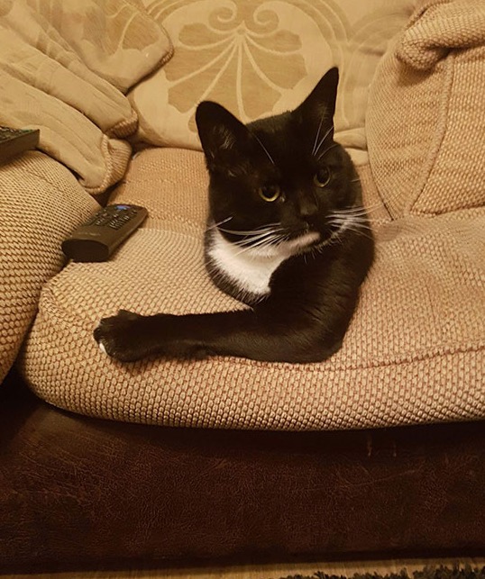 15 забавных оптических иллюзий, которые вы уже не сможете развидеть 15 забавных оптических иллюзий, которые вы уже не сможете развидеть не всё так грустно