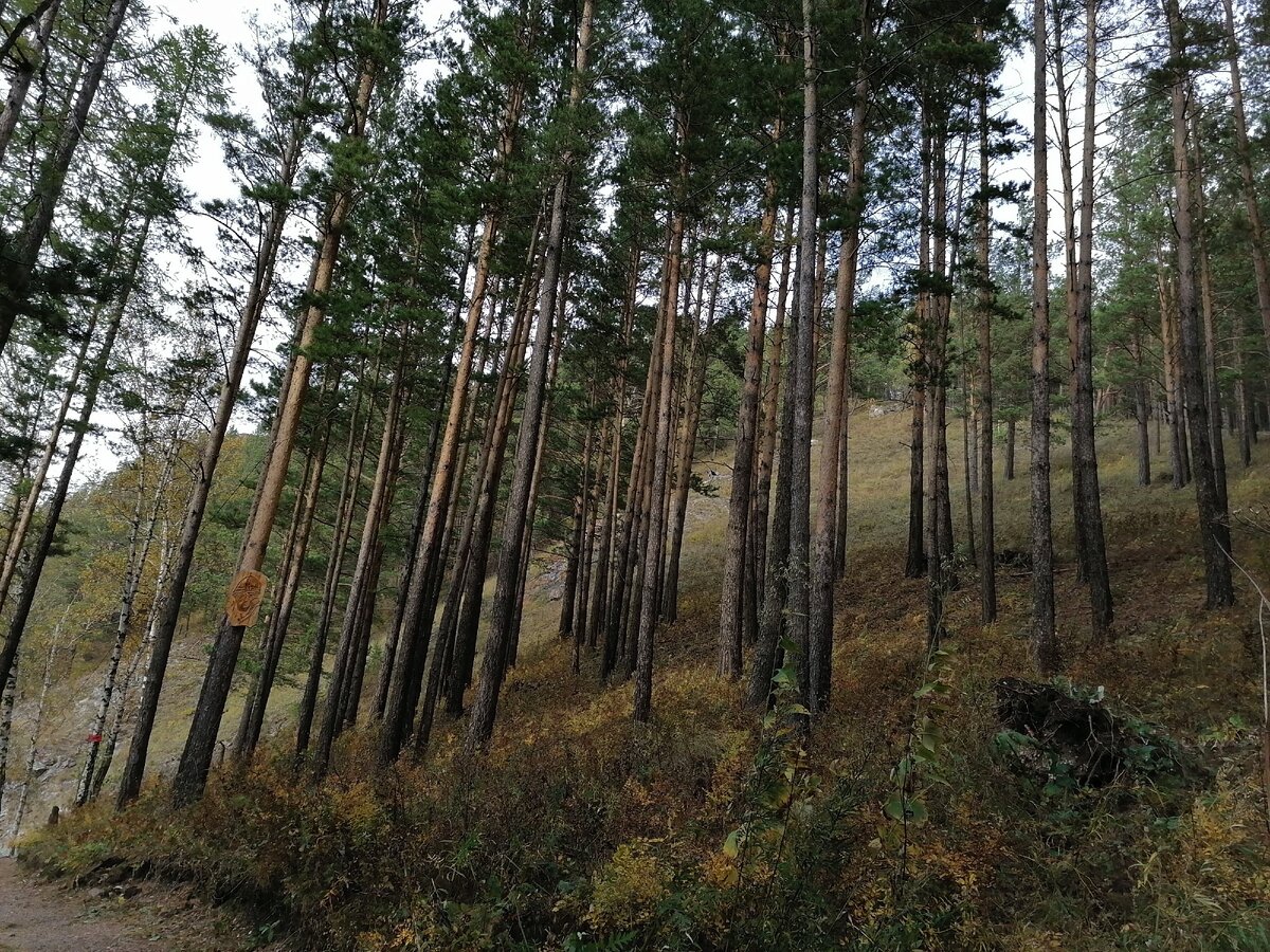 © Фотография автора