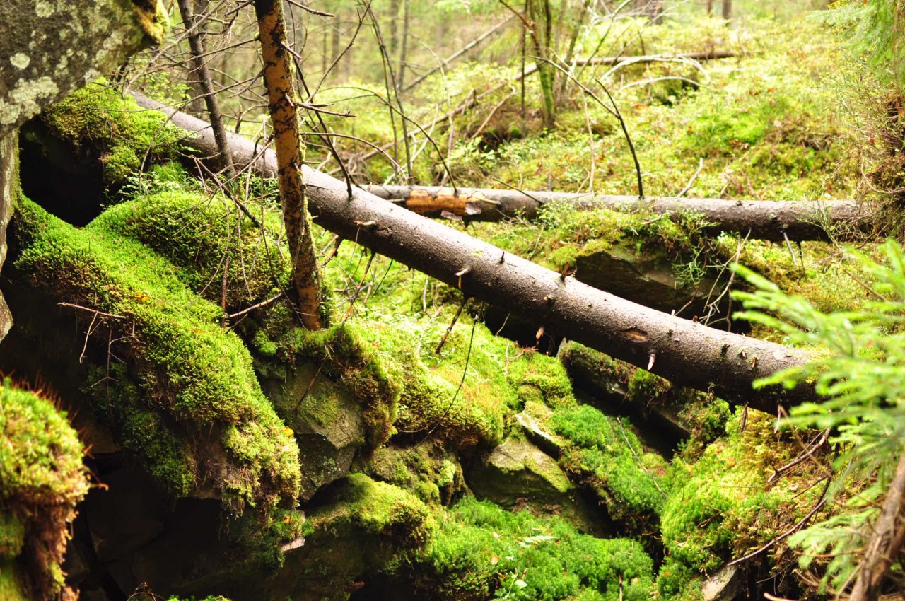 Карпатский Стоунхендж