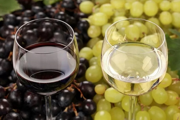 Новые ПЗЗ не решили проблемы севастопольских виноделов 