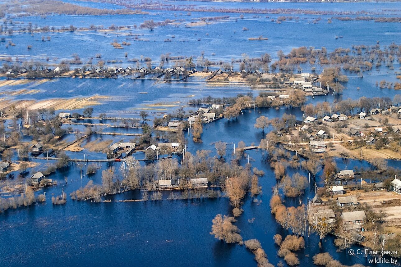 Белорусская «Амазония» удивила иностранцев заграница,путешествие,туризм
