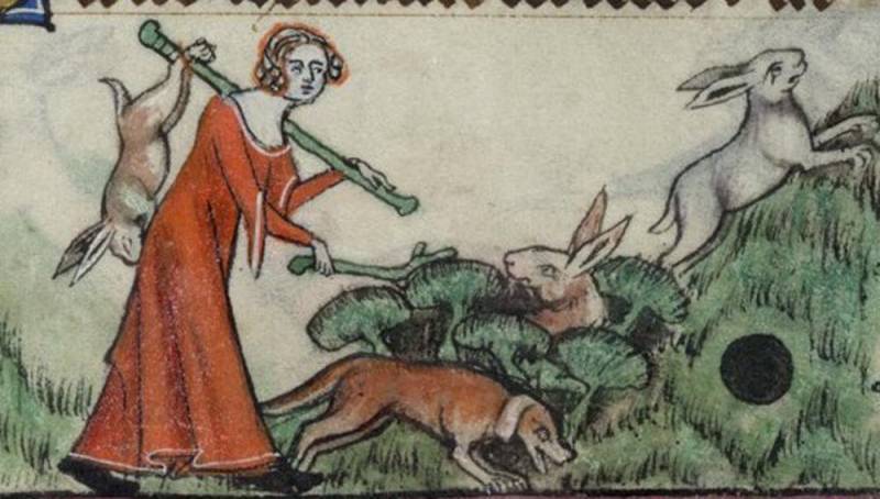 Иллюстрированная повесть об охоте знатных дам из средневекового замка Иллюстрированная повесть об охоте знатных дам из средневекового замка история