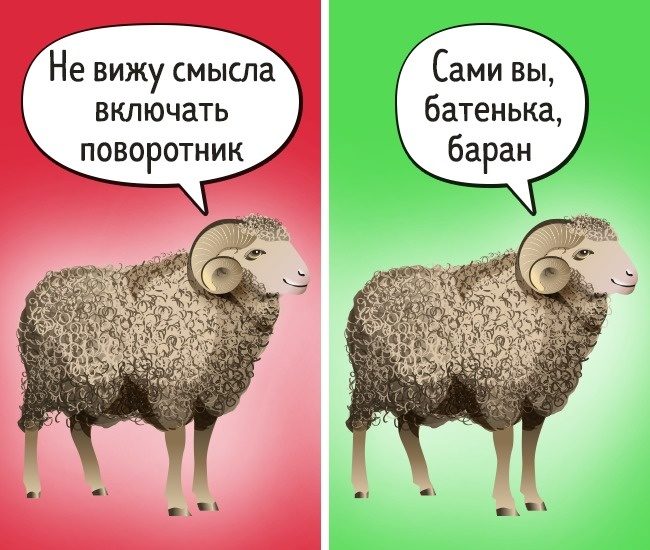Факты о животных, в которые не стоит верить