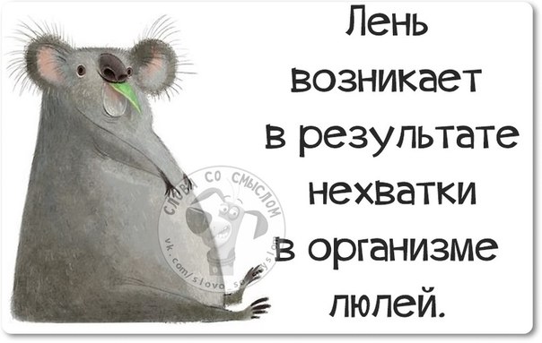 Прикольные картинки с позитивными фразочками Прикольные картинки с позитивными фразочками