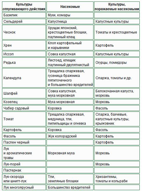 какие цветы отпугивают вредителей в огороде