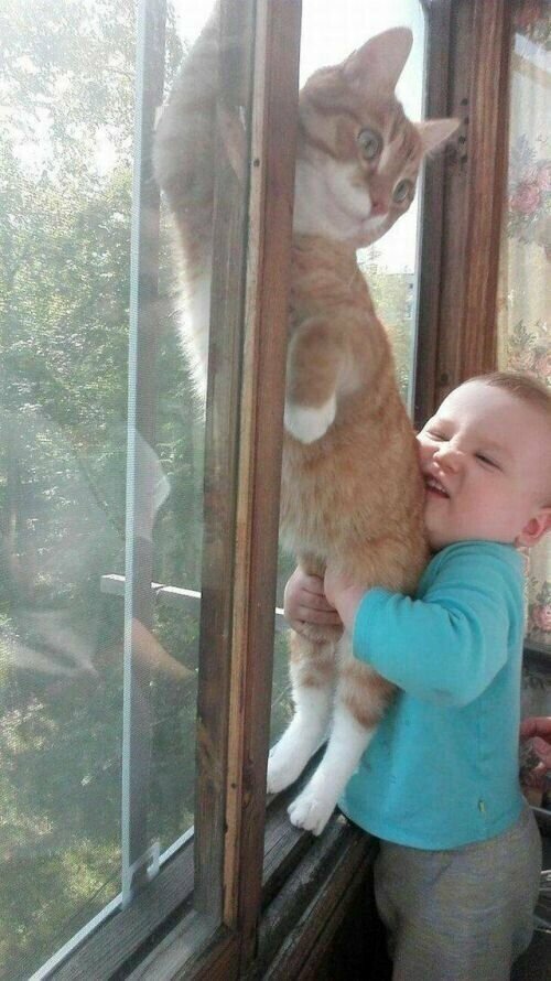 О дружбе О дружбе