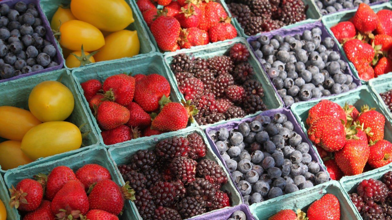 Диетологи посоветовали не есть чернику во время диеты