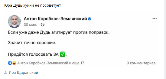 О пакете поправок в Конституцию и о «ценном мнении» диванных максималистов