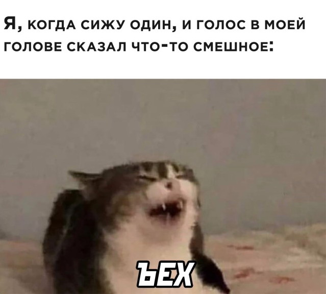 Зверский юмор, КОТОФейный 