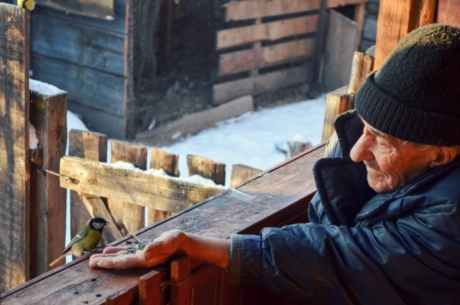 На это невозможно смотреть равнодушно