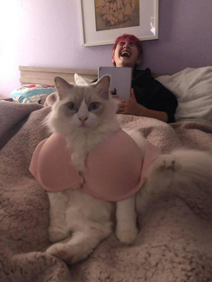 Подборка прикольных картинок приколы,смешные картинки,юмор