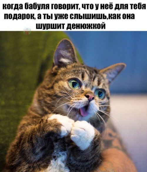 Новые прикольные фотомемы (26 шт)