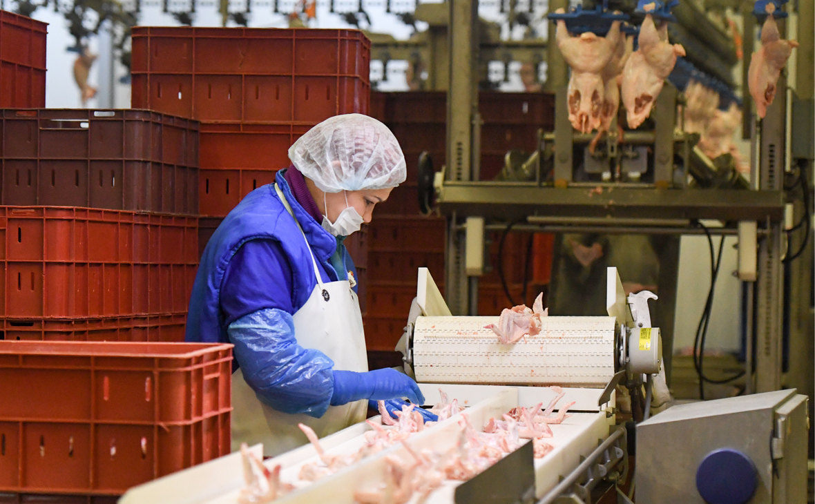 Власти уточнили состояние заболевших новым видом птичьего гриппа в России