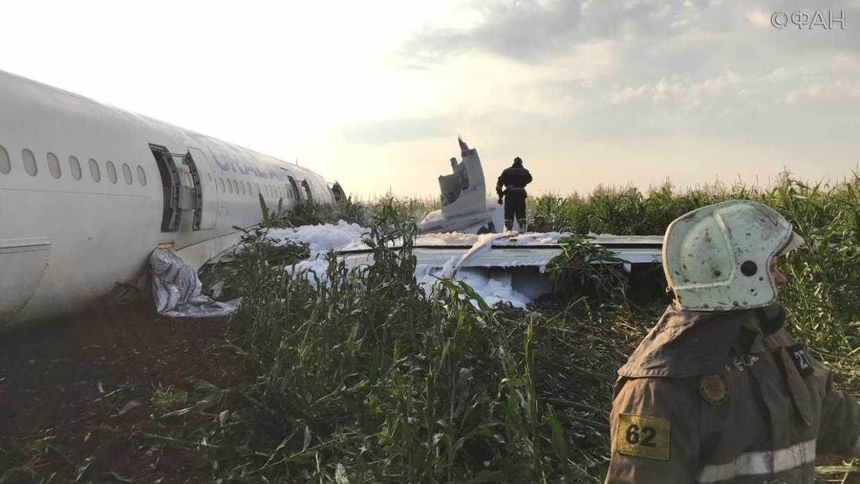 Пассажиры самолета в поле