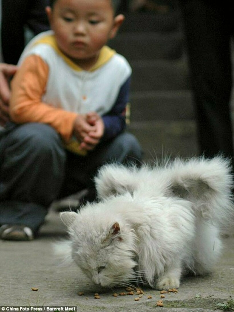 Фото: animalworld.com