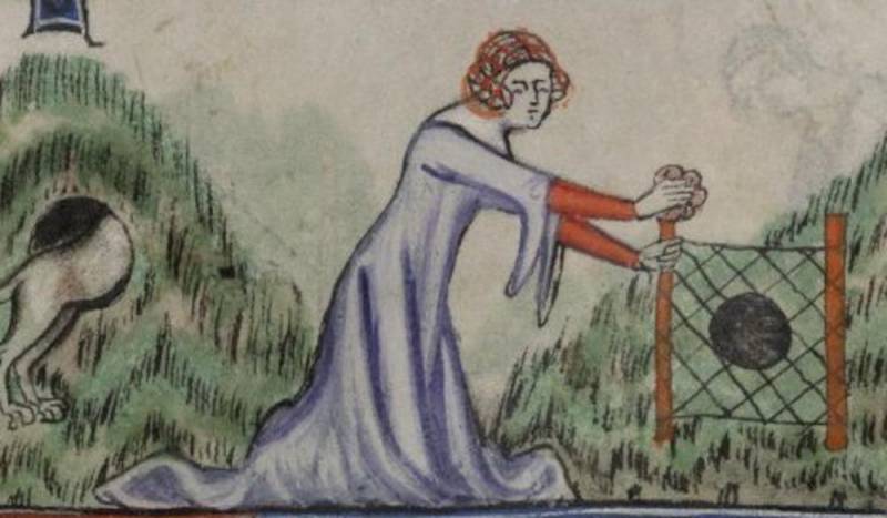 Иллюстрированная повесть об охоте знатных дам из средневекового замка Иллюстрированная повесть об охоте знатных дам из средневекового замка история