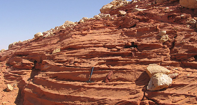 Ученые нашли самое опасное место в истории планеты: долина динозавров на территории Сахары Ученые нашли самое опасное место в истории планеты: долина динозавров на территории Сахары Культура