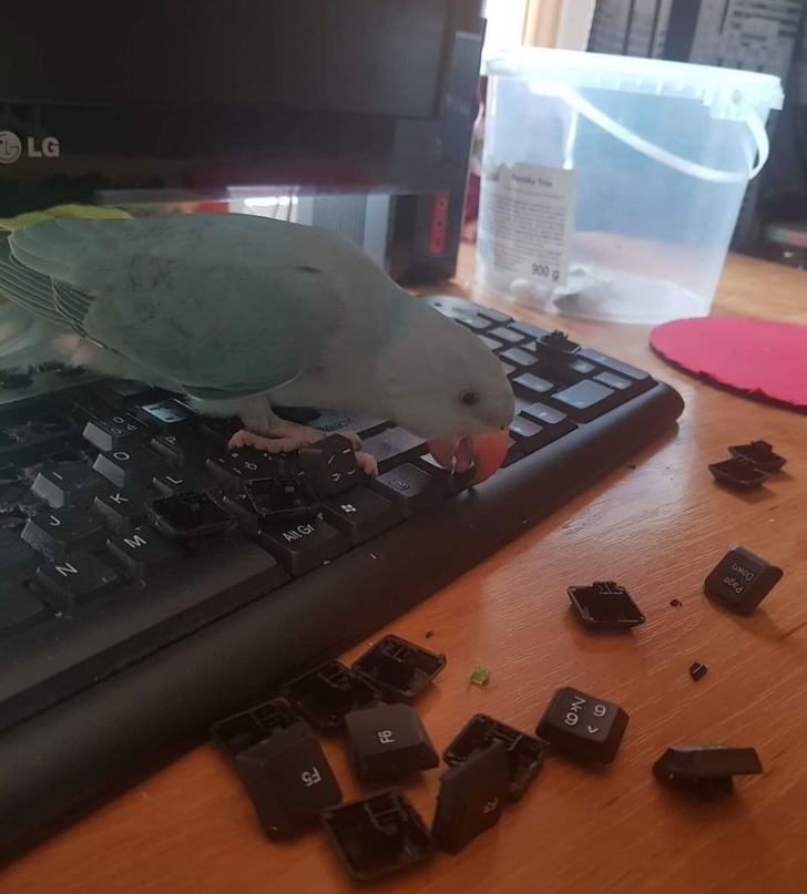 20 фото, на которых запечатлена боль вселенских масштабов 