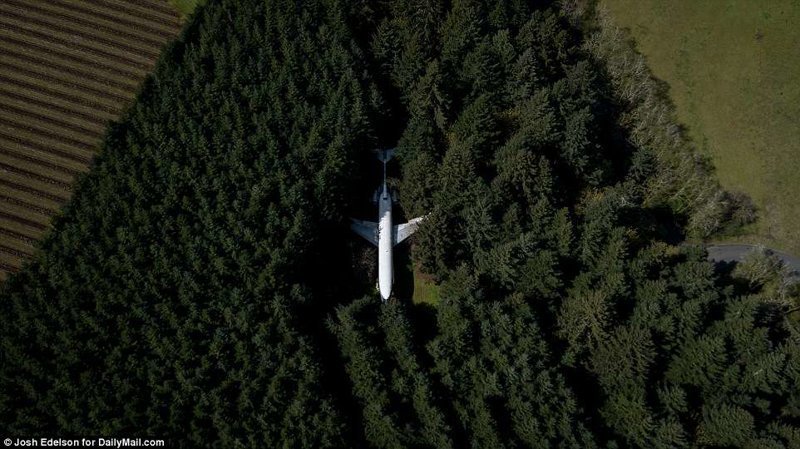 Американский пенсионер уже 15 лет живет в самолёте посреди леса жизнь в лесу, интересные люди, истории, люди, пенсионер, самолет, сша, фото