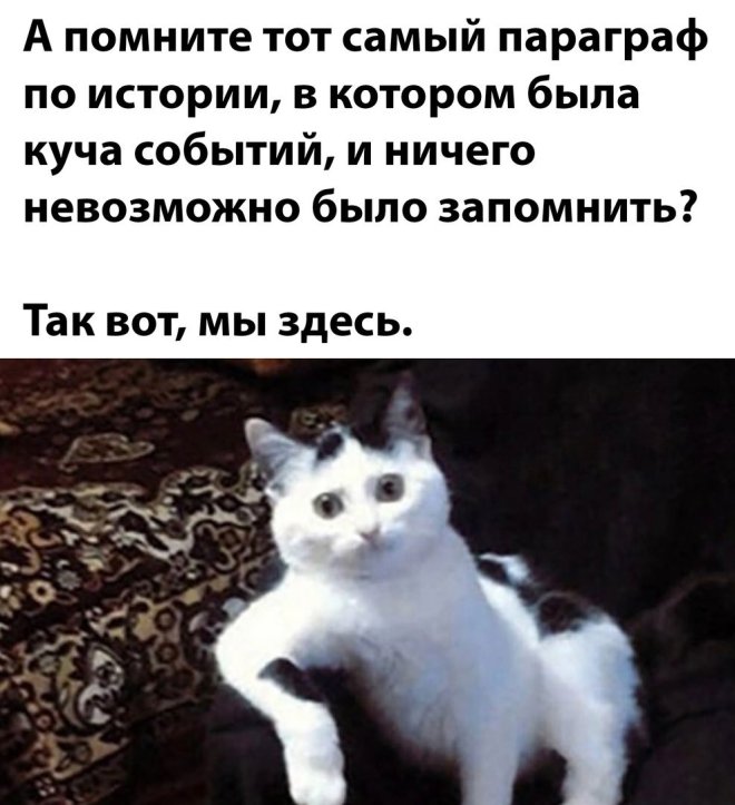 Юмор для тех, кто уже повзрослел и понял, что утренний кофе – это не роскошь, а необходимость 