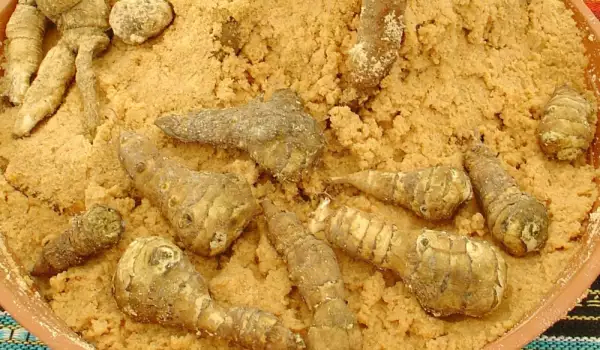 Привлечь денежную мандрагору