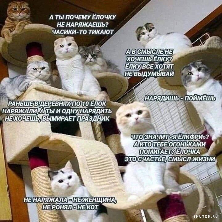 Свежие мемы и смешные картинки поднимающие настроение