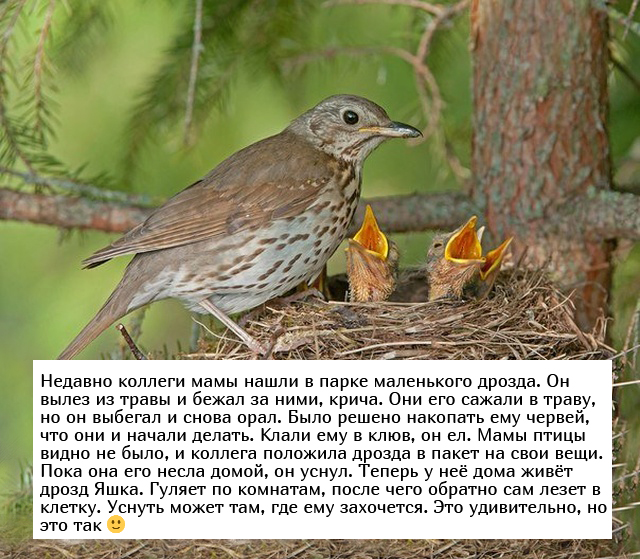 Невыдуманные добрые истории, которые настроят вас на позитив Невыдуманные добрые истории, которые настроят вас на позитив