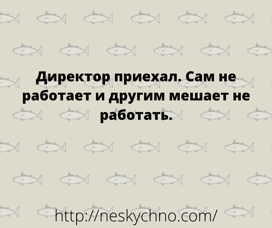 Лучшие анекдоты дня – для вас Лучшие анекдоты дня – для вас