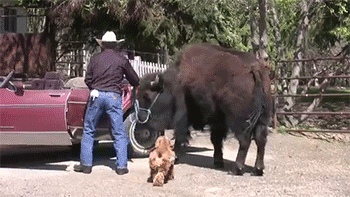 Подборка забавных и веселых гифок из нашей жизни Подборка забавных и веселых гифок из нашей жизни
