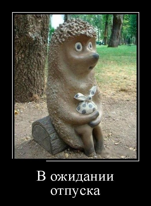 Самые улётные демотиваторы дня 