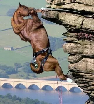 Единственная в мире лошадь, у кого не было бы проблем  с Великой Китайской стеной (Фотошоп)
