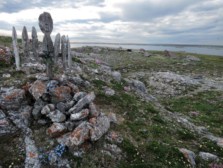 Остров Вайгач: суровое обаяние Русского Севера