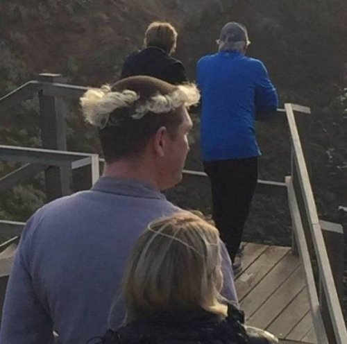 Чудаки вокруг нас 