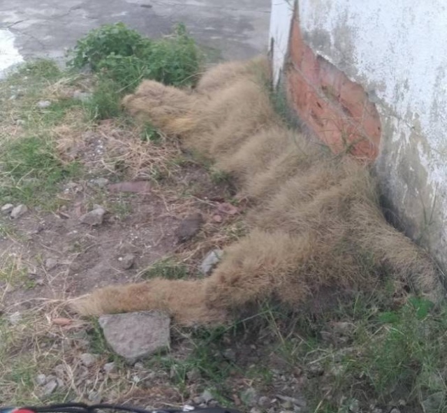 Показалось Показалось смешные картинки