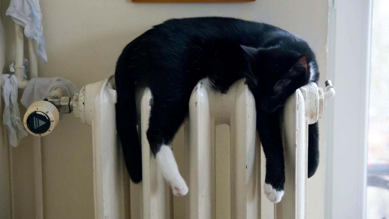 Власти Дагестана намерены полностью заменить в республике систему отопления