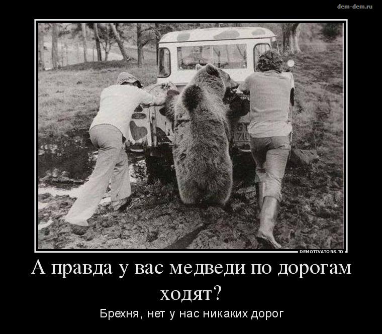 Картинки по запросу свежие демотиваторы про девушек