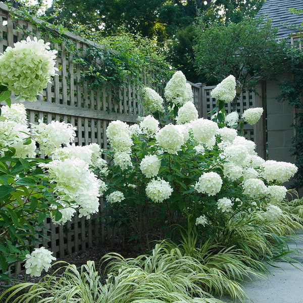 landscape-design-for-romantics18-1