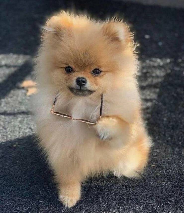 Подборка картинок. Вечерний выпуск Подборка картинок. Вечерний выпуск приколы,смешные картинки,юмор