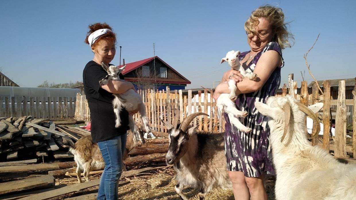 На западе Крыма могут построить голландскую деревню с экомузеем На западе Крыма могут построить голландскую деревню с экомузеем Общество