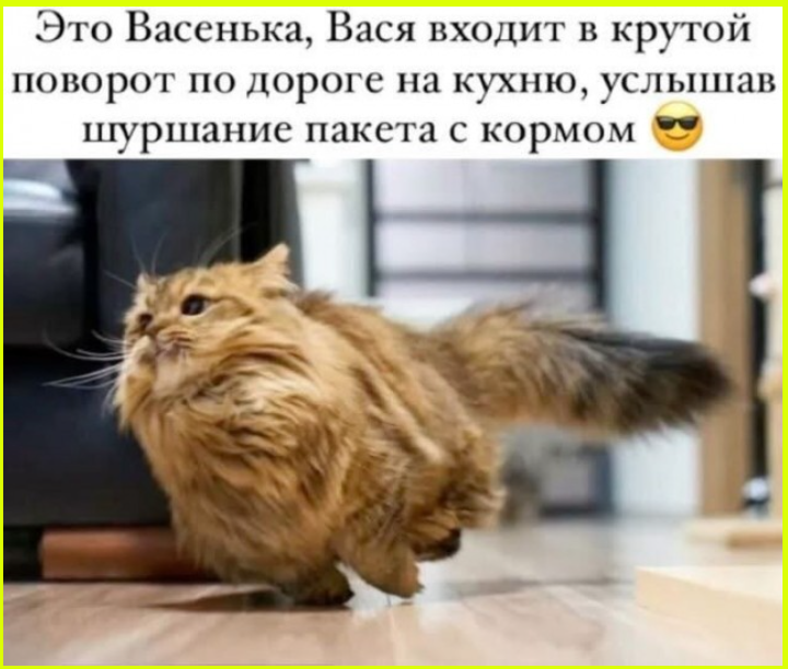 Если бы во времена Потопа вместо Ноя был Трамп, то Потопа бы не было Если бы во времена Потопа вместо Ноя был Трамп, то Потопа бы не было