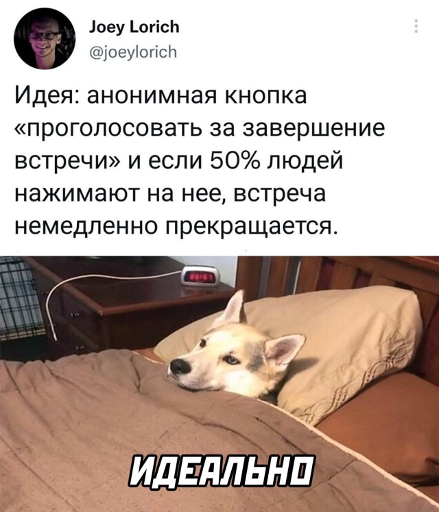 Подборка прикольных картинок приколы,смешные картинки,юмор